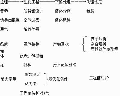 探索微生物的奥秘，发酵工程考研的深度解析