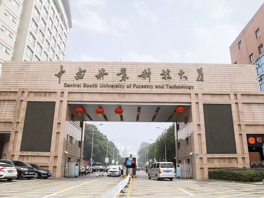 中南林业科技大学，录取分数线揭秘与报考指南