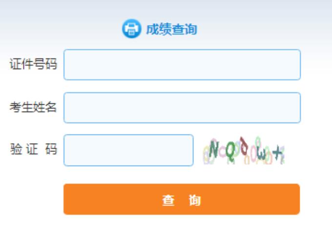 河南省美术统考成绩查询，考生与家长必知的全面指南