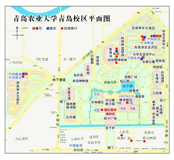 青岛农业大学2020年录取分数线深度解析