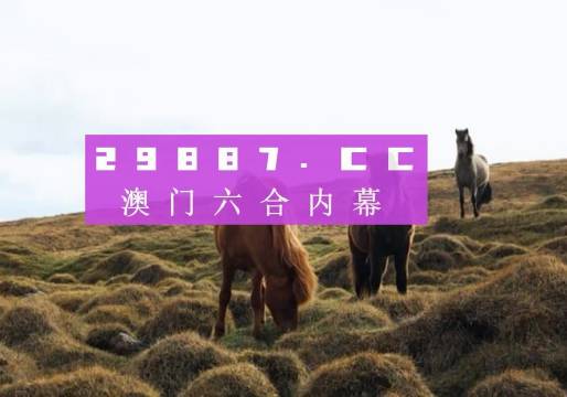 澳门新开奖记录，今日十开奖结果与最新动态