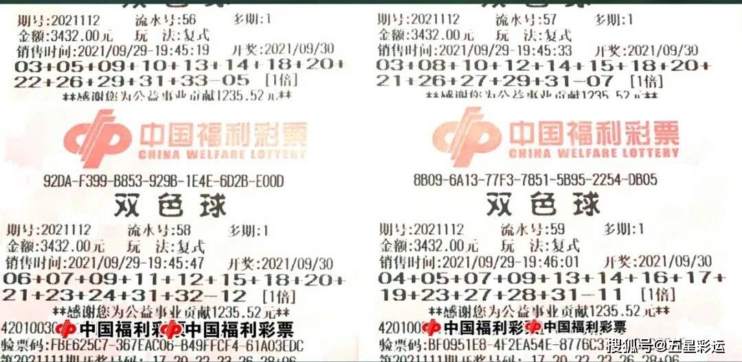 澳门新春彩梦，2025年2月12日开奖记录深度解析