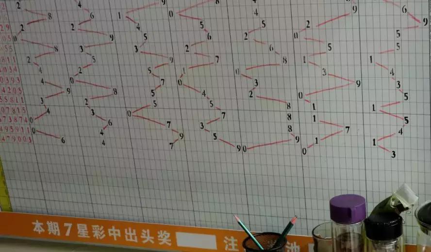 探索大乐透基本走势，全图视角下的数字奥秘