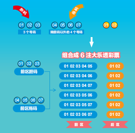 体育彩票大乐透查询，解锁幸运之门的新钥匙