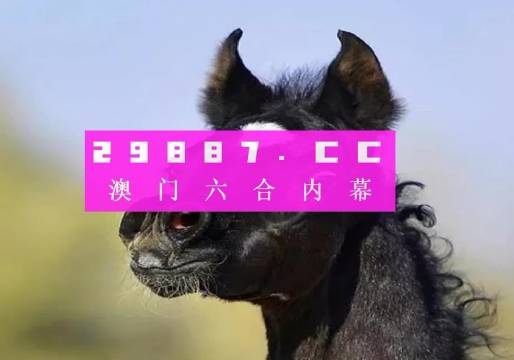 2023年澳门最新开奖特马揭秘，数字背后的幸运与期待