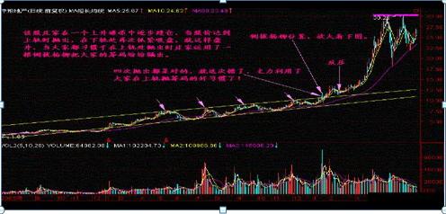 3D彩票，近1000期走势图带连线专业版解析