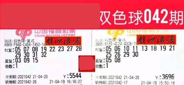 2014088期双色球开奖号码，梦想与幸运的交汇