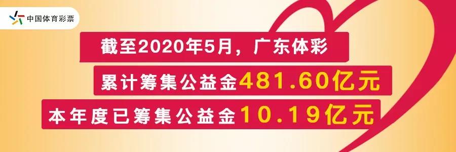 广东福利36选7，公益与幸运的双重盛宴