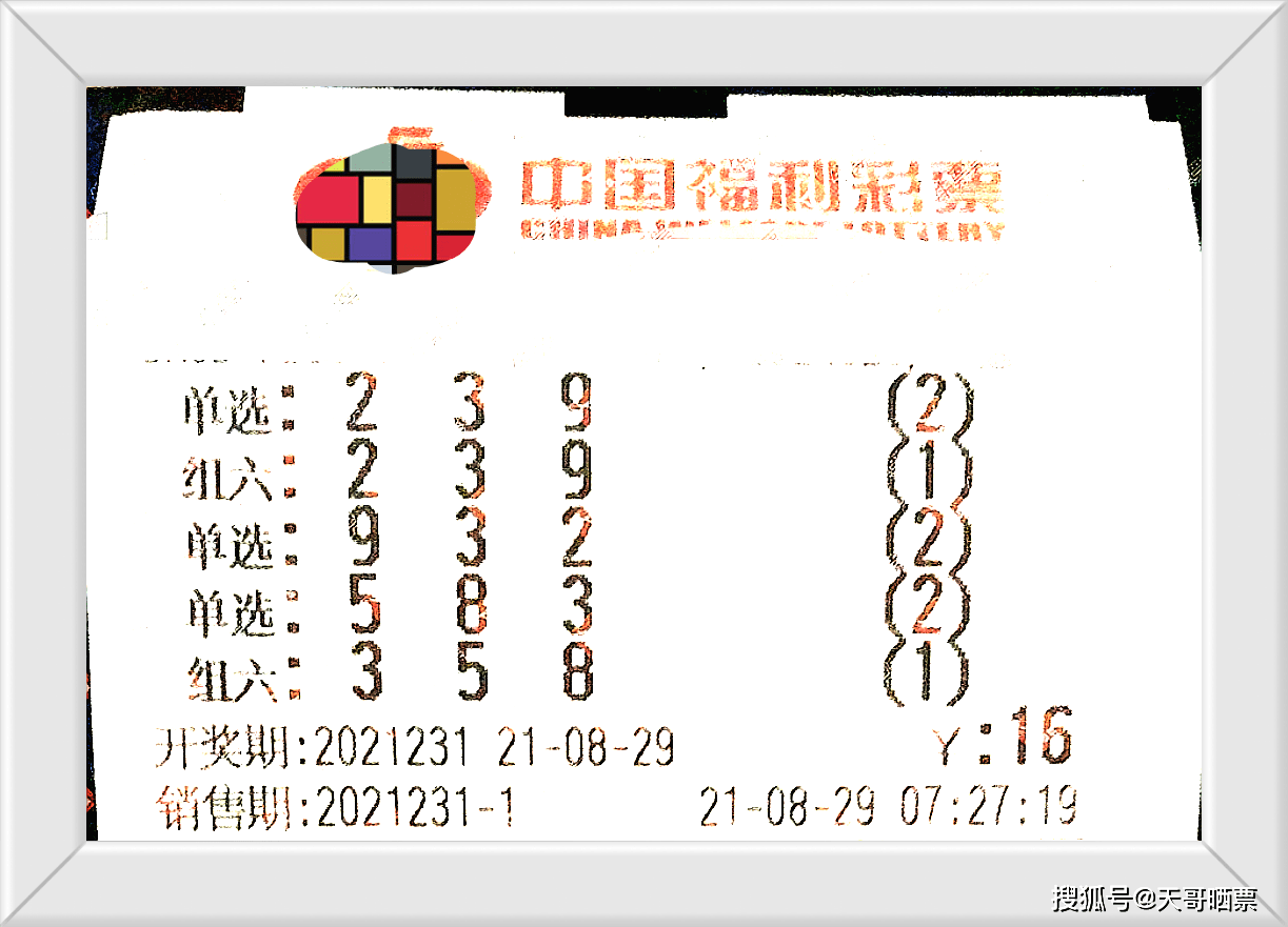 今日3D开奖结果揭晓，揭秘幸运数字的奥秘