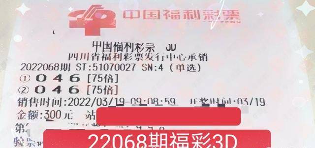 福利彩票2022044期开奖结果揭晓，梦想与希望的新篇章