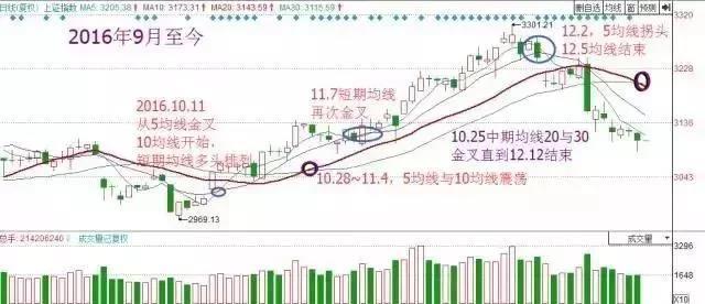 排列5，揭秘彩经网走势图下的数字奥秘