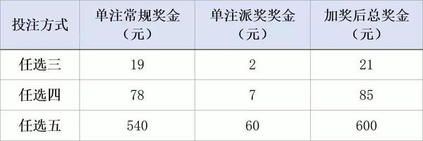 广州十一选五最新开奖，揭秘彩票背后的故事与影响