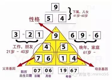 31选7，探寻数字背后的奇妙走势