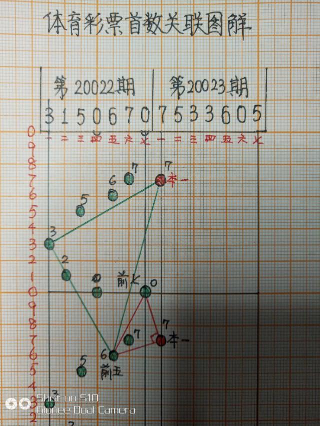 揭秘体彩七位数开奖号码，数字背后的奥秘与期待