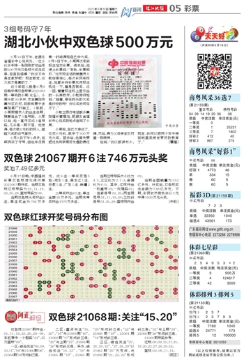 浙江风采网双色球近500期走势图深度解析，探寻数字背后的规律与趋势