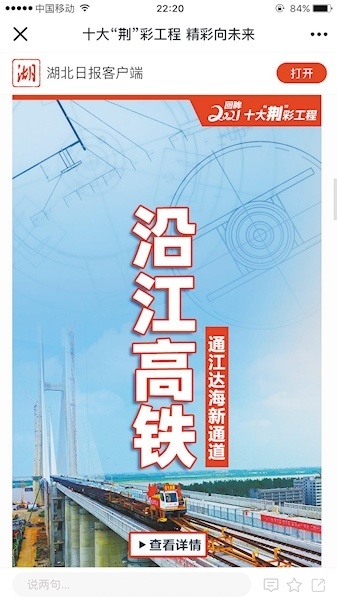 内容：对未来发展的预测和规划