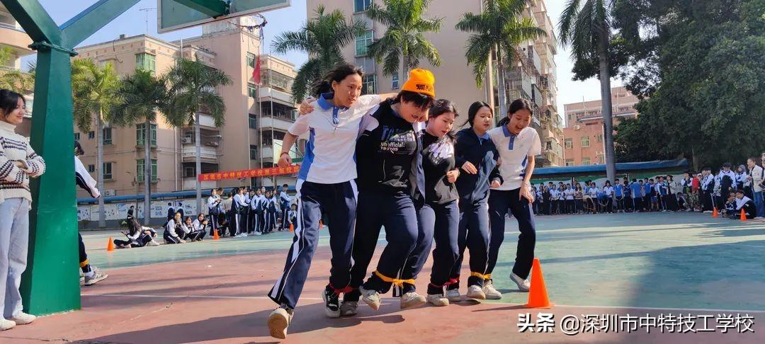 揭秘六开彩资料，一肖中特背后的真相与陷阱六开彩免费资料1肖/码中特