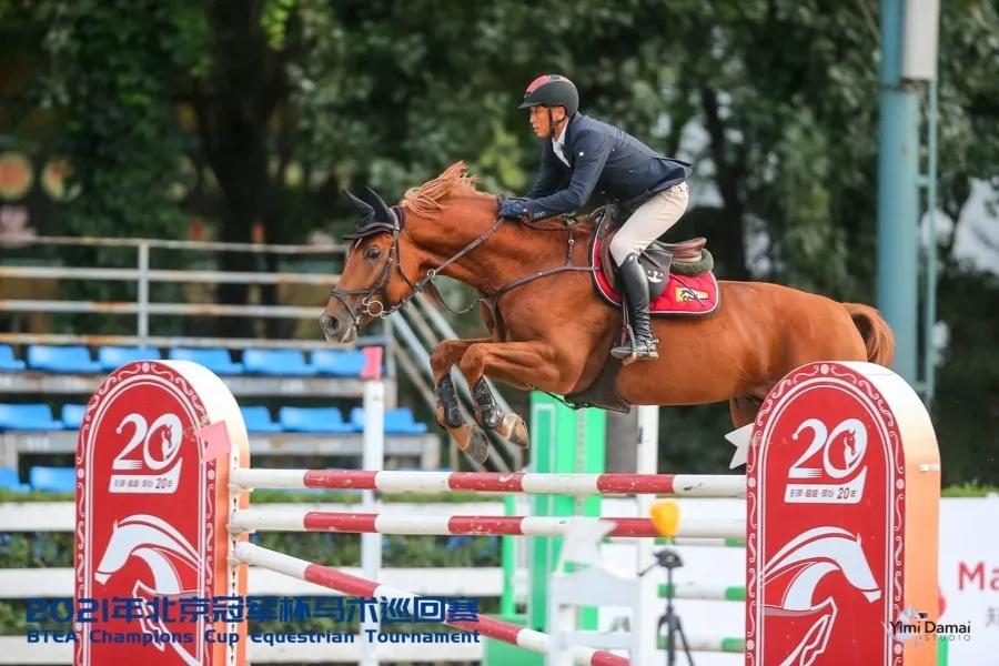 2019香港马会资料大全，免费资源与精彩赛事的完美结合香港2021年马会资料大全