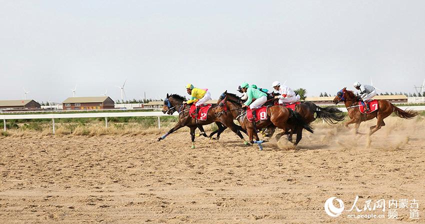 探索香港马会正版料大全2019，赛马的智慧与激情香港正版马会免费资料大全