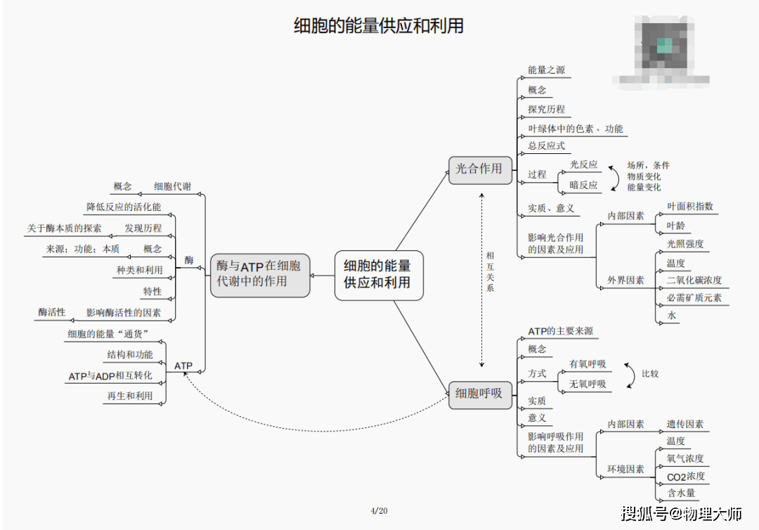 三肖