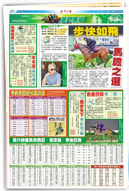 2048年新澳门王中王的神秘面纱，揭秘与展望2024年新澳门王中王资料,重点全面解