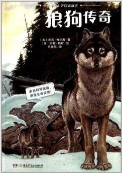 香港6合开奖官网最新动态，今日揭晓的幸运数字与您共享香港6合开奖号码