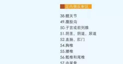 探秘香港6合宝典图库大全，九龙老牌的最新版解析香港6合宝典最新版本|手机版大全资料彩图_最火手机站