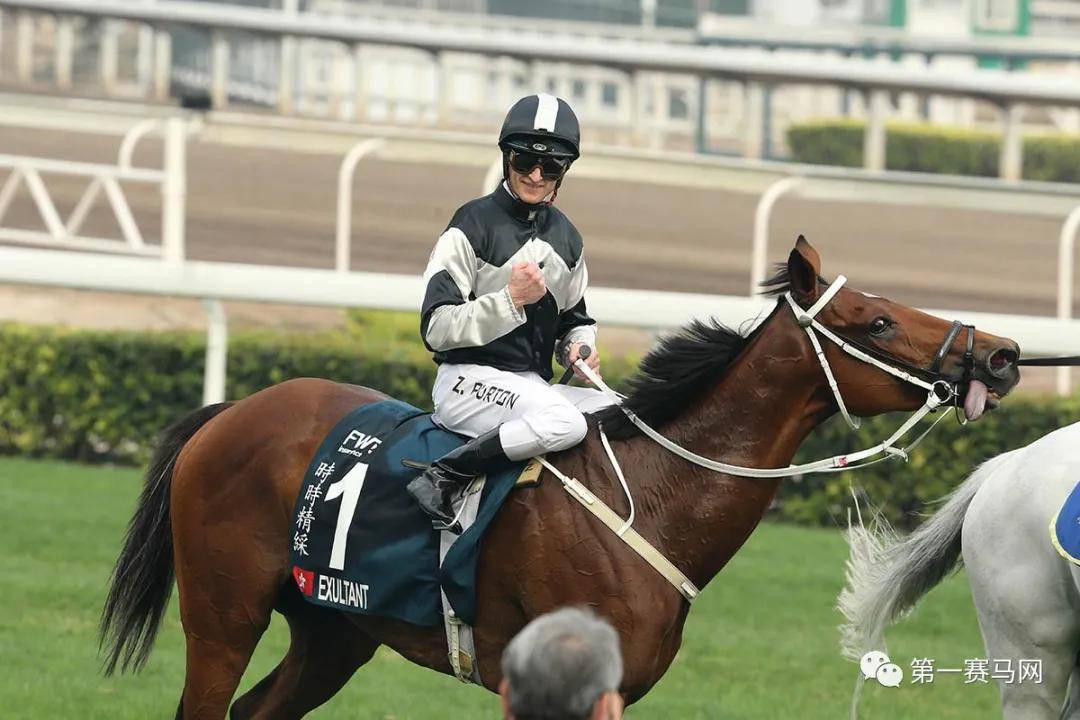 2019香港马会全年资料大全，回顾与展望香港2021年马会资料