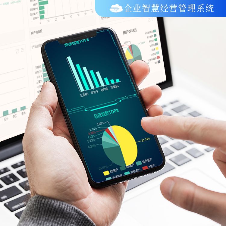 管家婆全年资料,企业运营的智慧之眼管家婆的