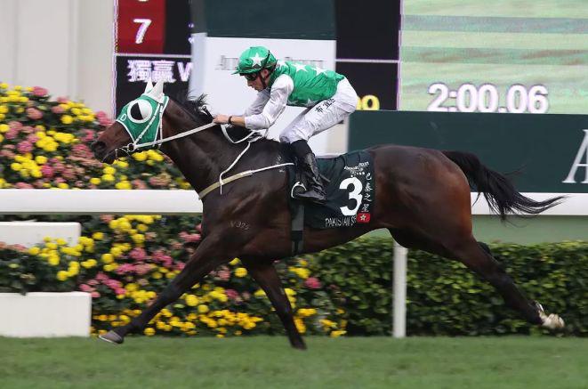 2019年香港马会资料大全，赛驹、赛事与精彩瞬间回顾香港2021年马会资料大全