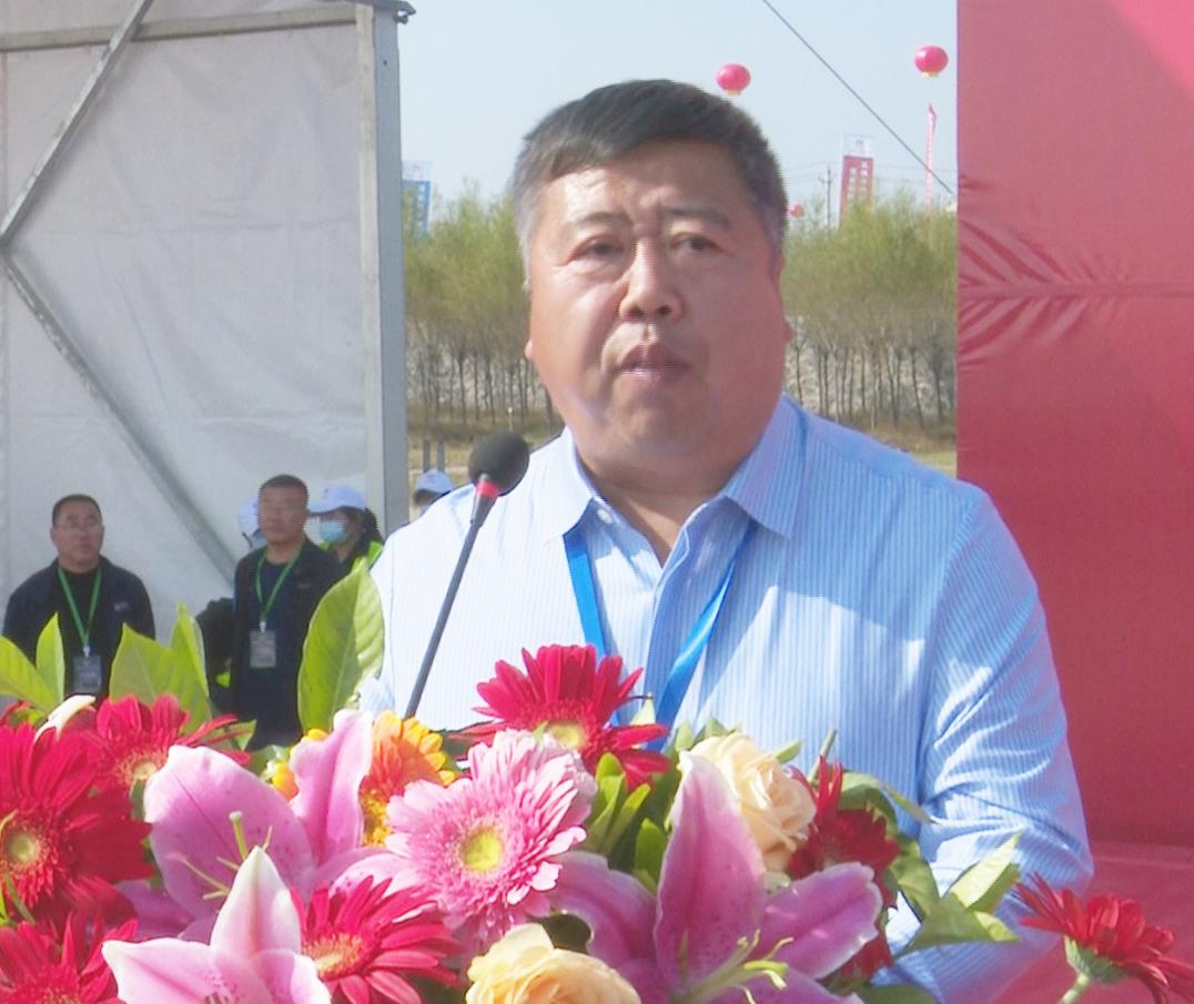 2019香港马会全年资料大全,赛场风云与慈善盛举的精彩回顾香港2020马会资料