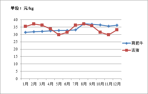 201年香港全年开奖记录，回顾与解析香港2021开奖历史记录