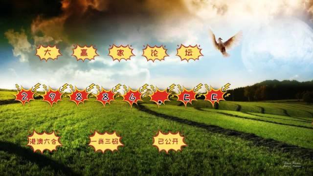澳门4950开奖结果,揭秘背后的真相与风险澳门4949开奖结果最快一
