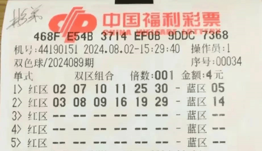 澳门近30期开奖号码的深度解析与趋势预测，探寻数字背后的秘密新澳门近30期开奖号码实地验证