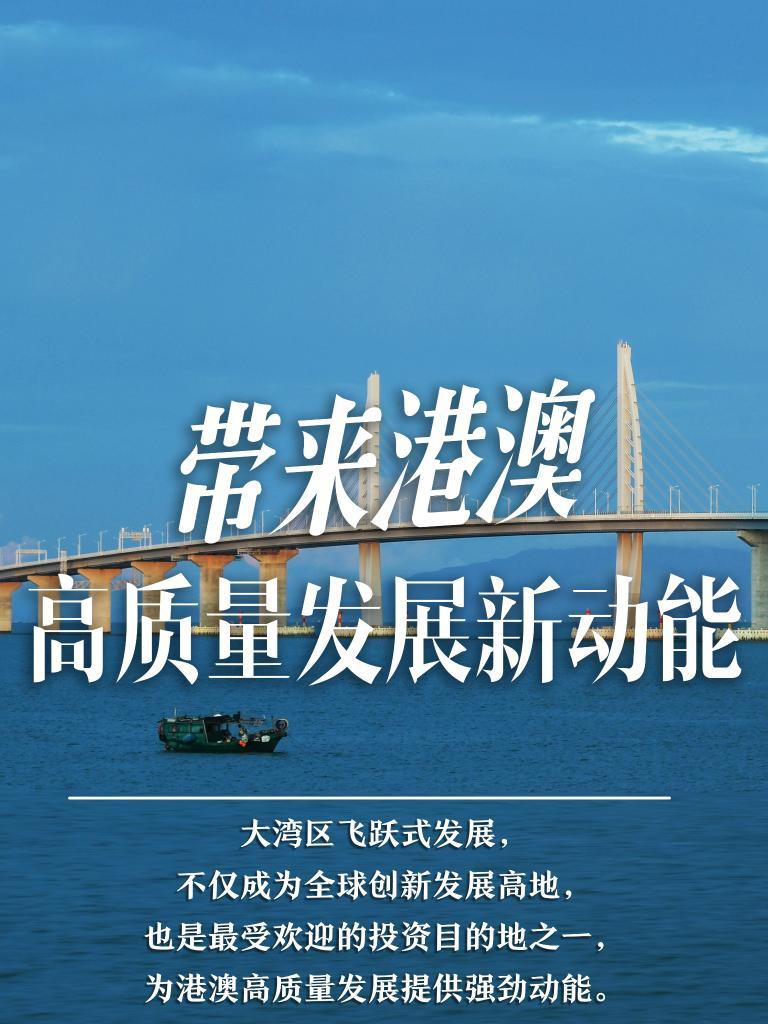 澳门新机遇，一肖、特一中引领的多元发展管家婆必出一中一特
