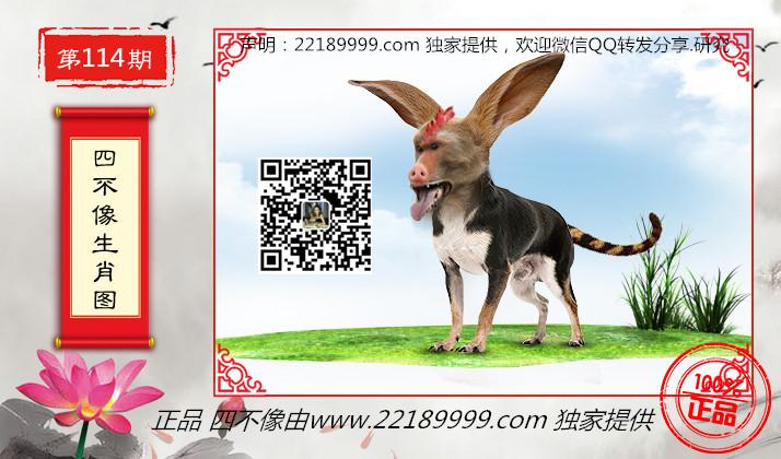 今日特马图四不像，探寻数字背后的奇妙世界全年资料免费大全