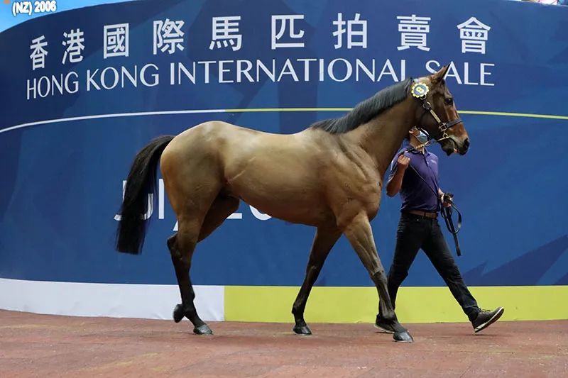 六六大顺彩票(Lotaria)和肖像画赛马会(Jockey Club)新澳门最快开奖结果开奖记录