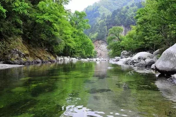 预测未来,香港六合走势分析图2019年8月最新解读