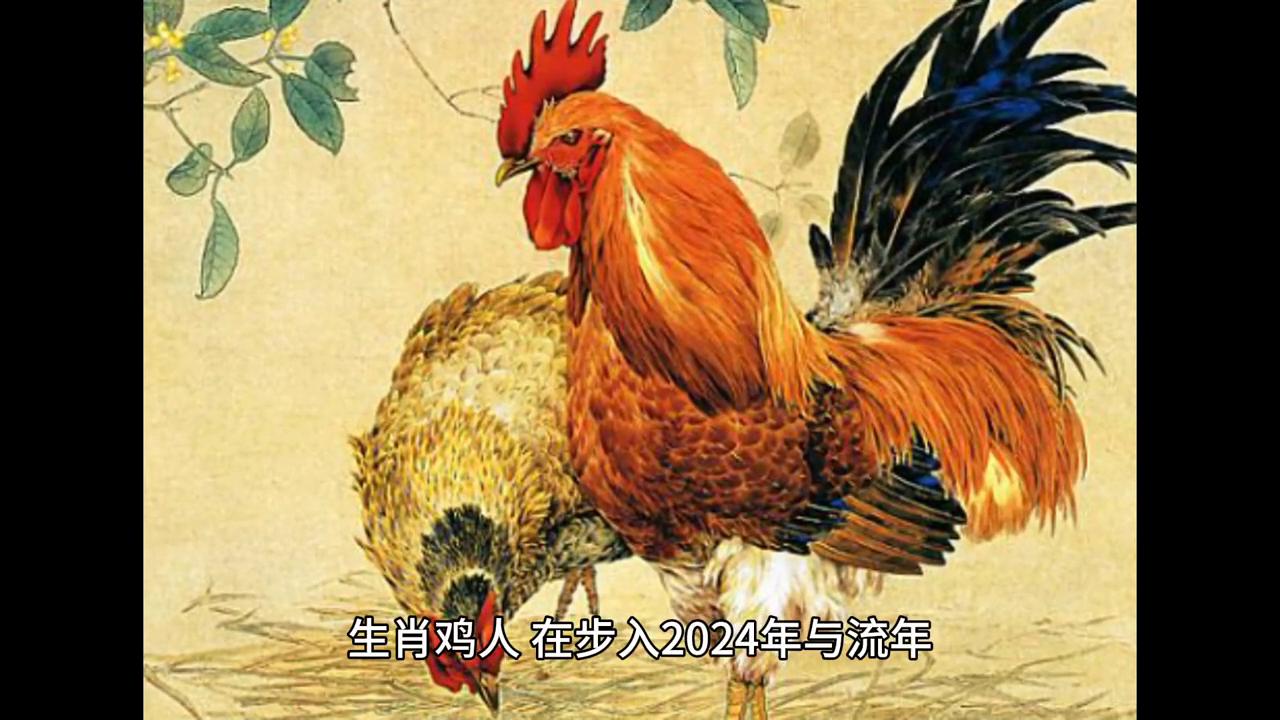 探索香港六合走势,深度解析与图表集锦香港6合走势分析图表图片大全集最新版