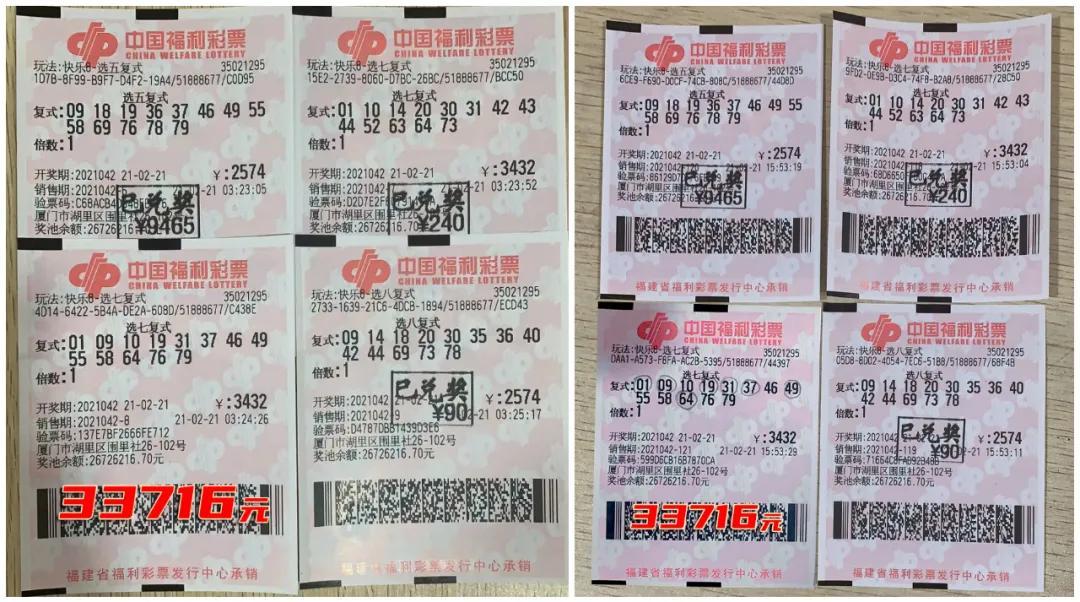 揭秘香港6合开奖号码，本期查询结果与深度解析香港6合开奖结果 生肖