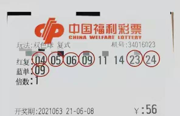 今日香港6合开奖号码揭晓，探寻幸运的数字密码香港6合开奖结果 生肖
