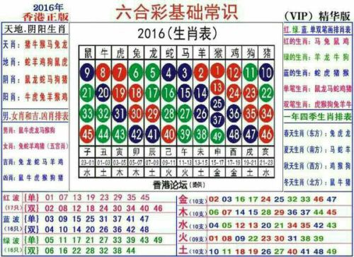 探秘香港6合和彩生肖数字2019年开奖记录，最新消息与深度解析香港6合和彩生肖数字2022年开奖记录查询最新消息
