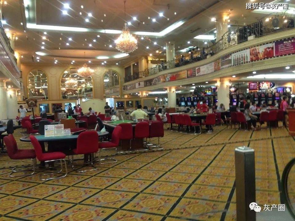 今日香港六合彩开奖结果汇总及分析香港6合开奖号码